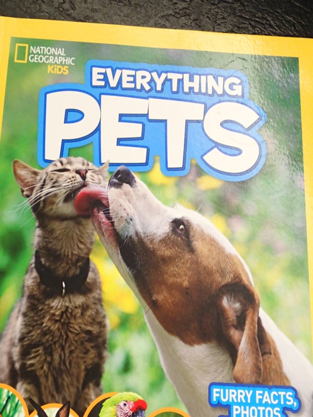 National Geographic Kids Everything Pets Paperback Book